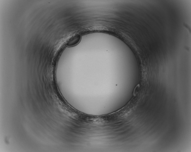 X0000103460395200809261845