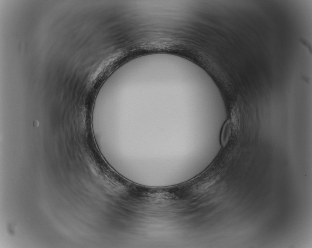 X0000103460396200809261845