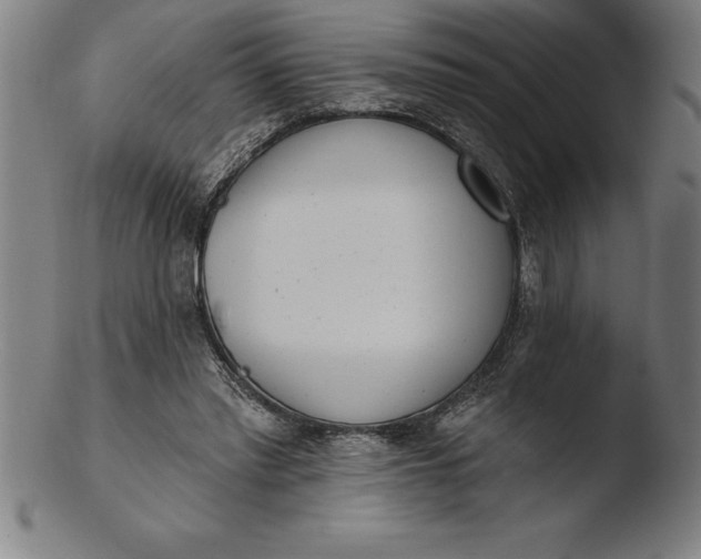 X0000103460397200809261845