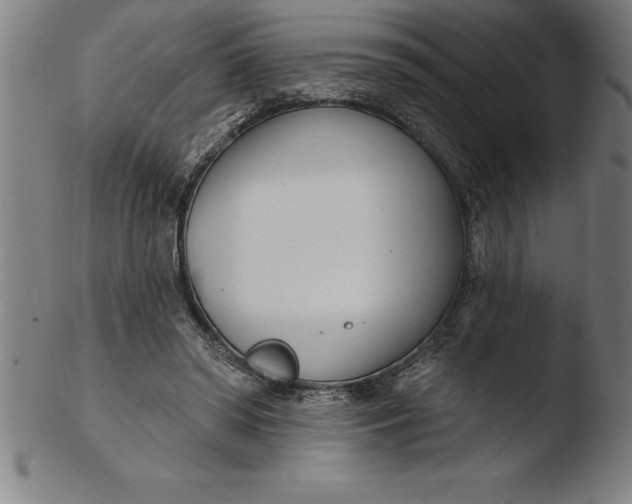 X0000103460398200809261845