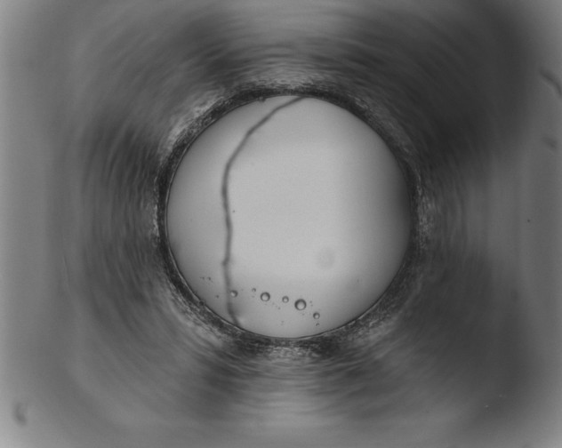 X0000103460399200809261845