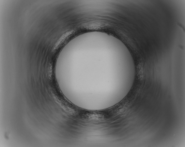 X0000103460400200809261845