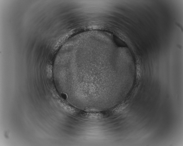 X0000103460401200809261845