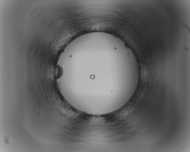 X0000103460403200809261845