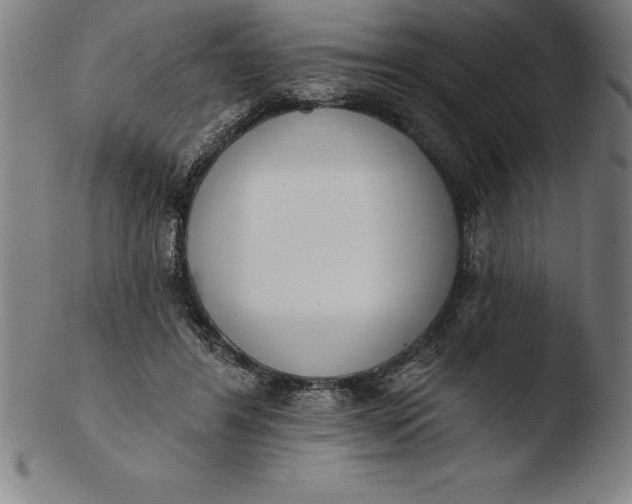 X0000103460404200809261845