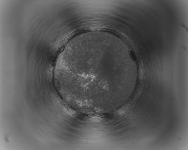 X0000103460405200809261845