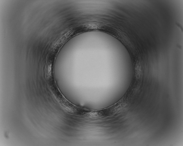 X0000103460406200809261845