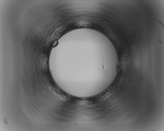 X0000103460408200809261845