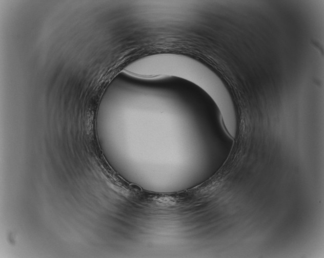 X0000103460409200809261845