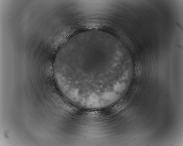 X0000103460411200809261845