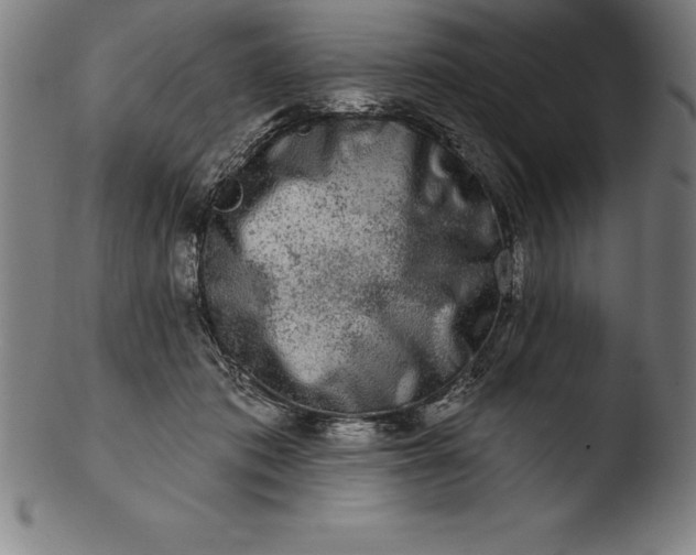 X0000103460413200809261845