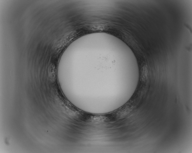 X0000103460414200809261845