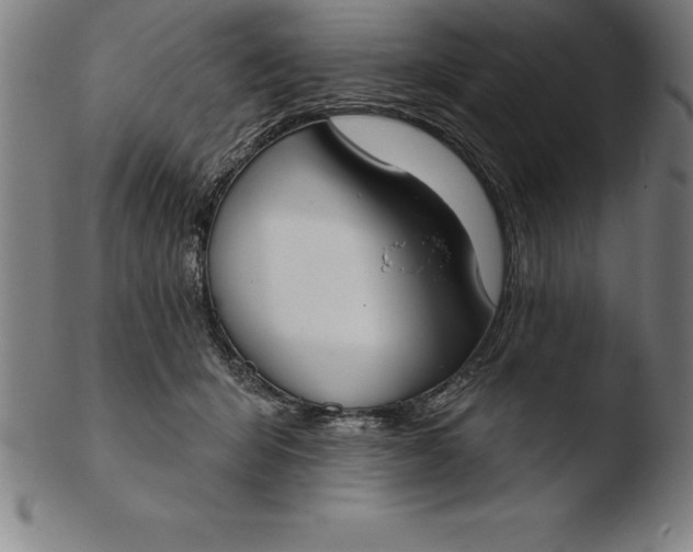 X0000103460415200809261845