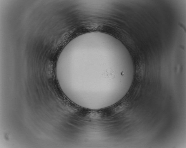 X0000103460416200809261845