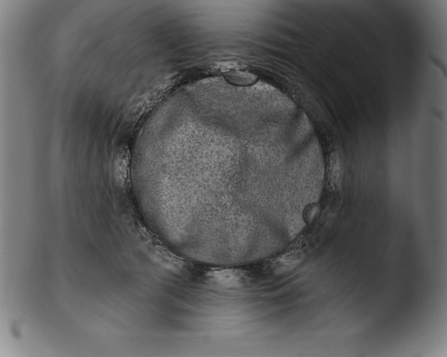 X0000103460417200809261845