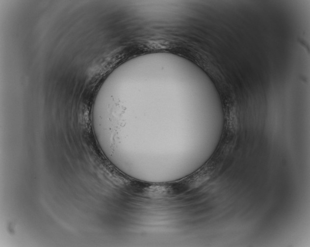 X0000103460418200809261845