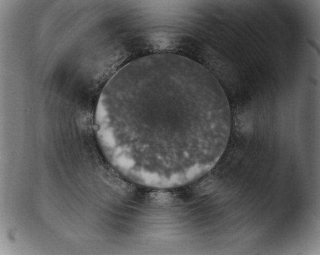 X0000103460419200809261845