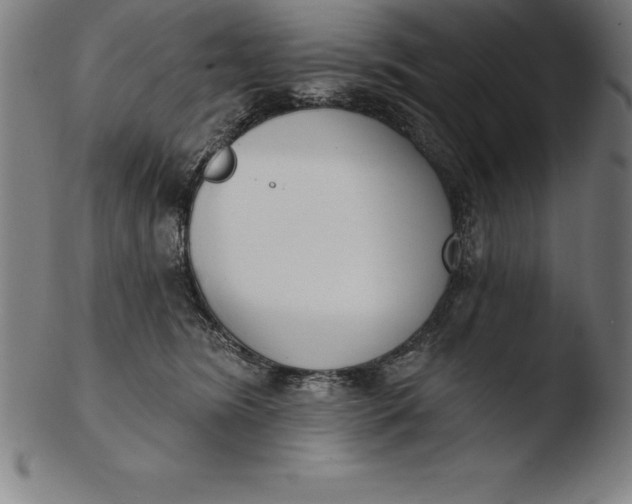 X0000103460420200809261845