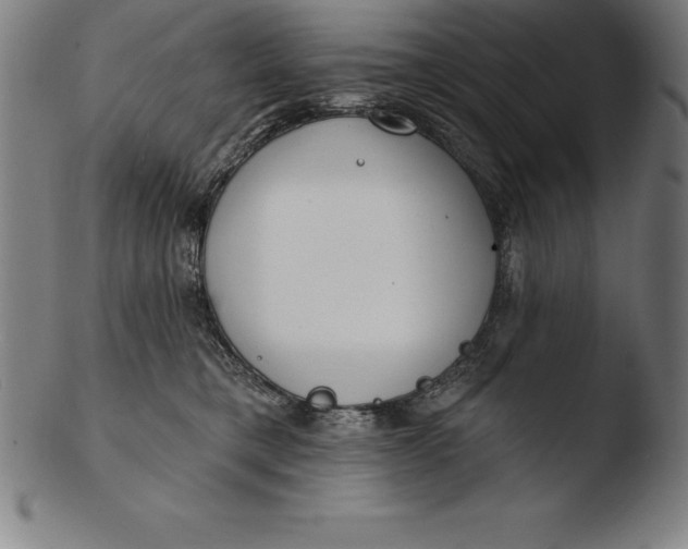 X0000103460421200809261845