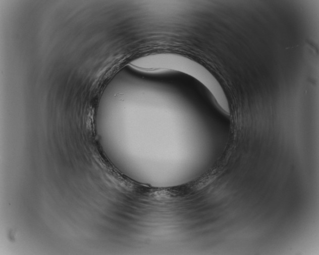 X0000103460423200809261845