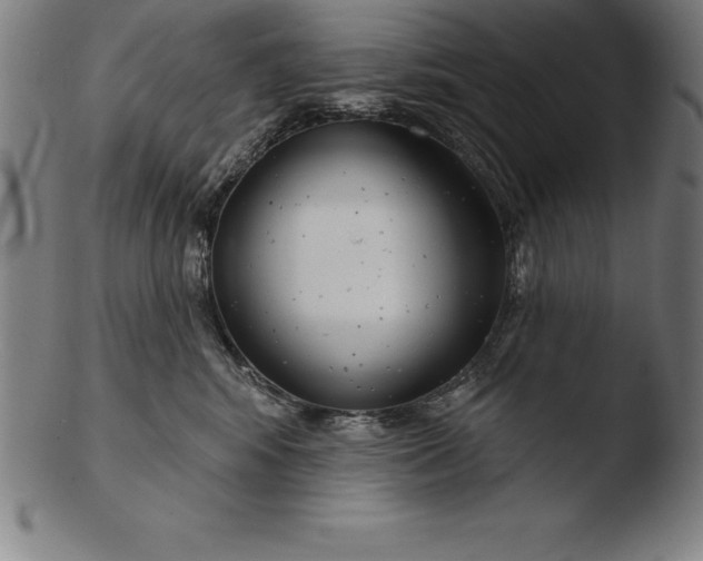 X0000103460424200809261845