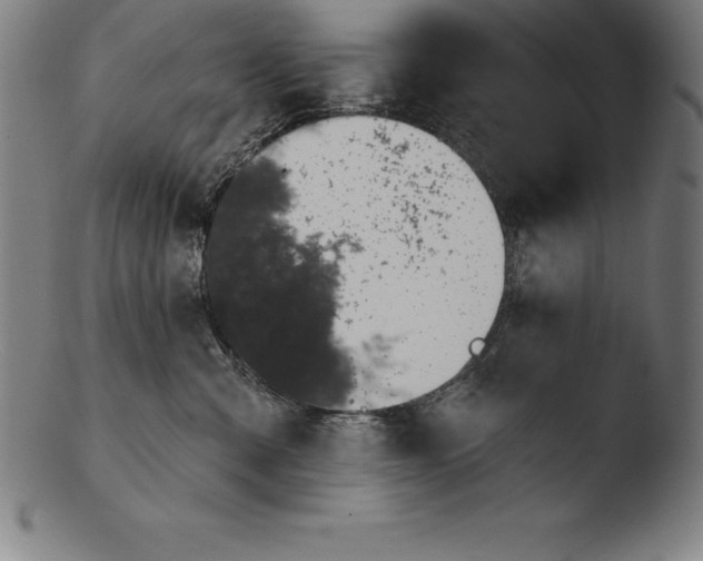 X0000103460427200809261845