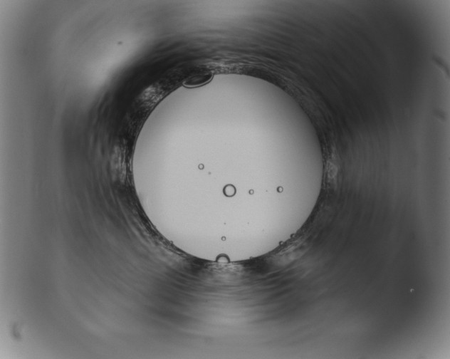 X0000103460429200809261845