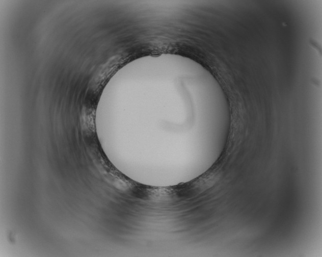 X0000103460432200809261845