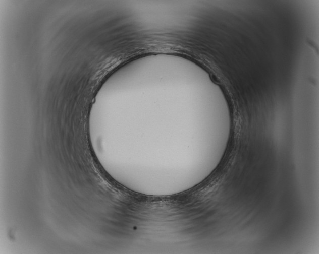 X0000103460433200809261844