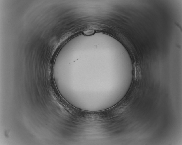 X0000103460435200809261844