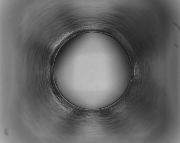 X0000103460436200809261844