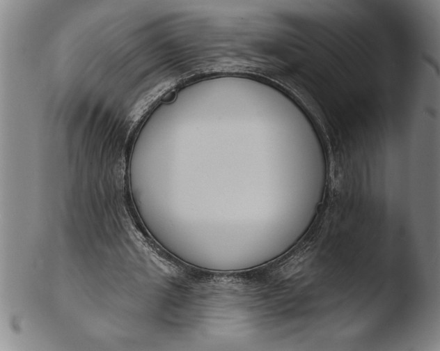 X0000103460437200809261844