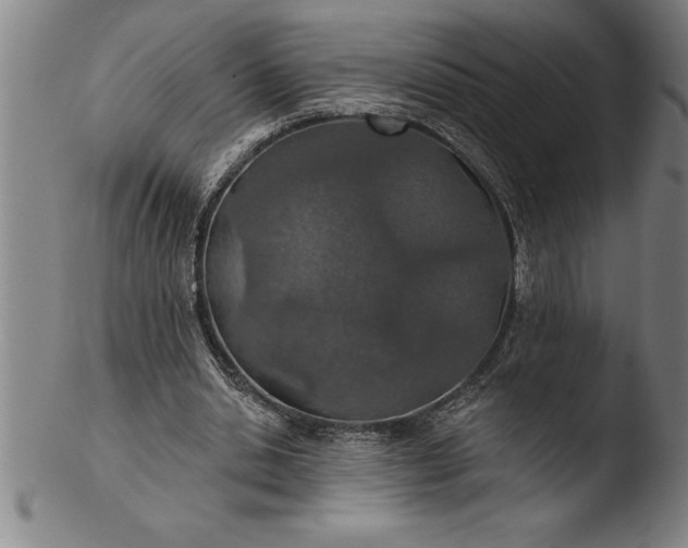 X0000103460438200809261844