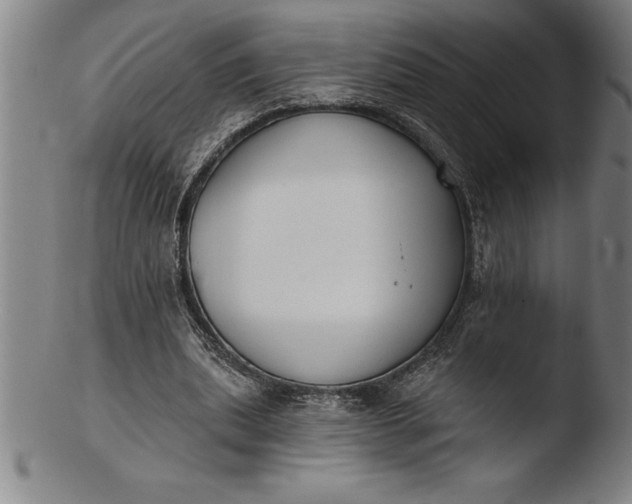 X0000103460439200809261844