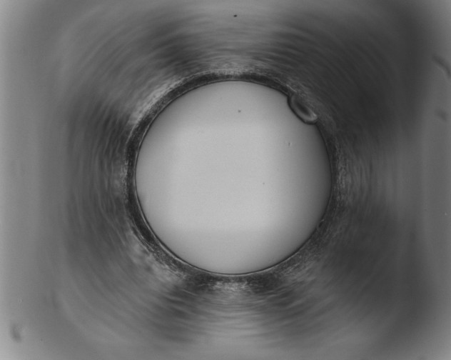 X0000103460440200809261844