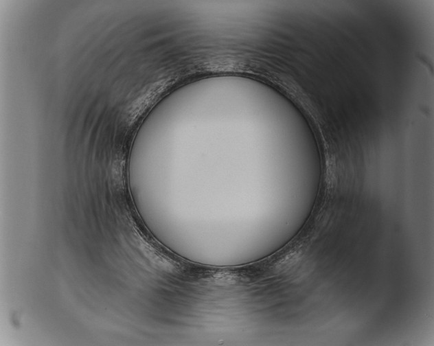 X0000103460441200809261844