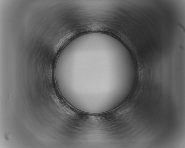 X0000103460442200809261844