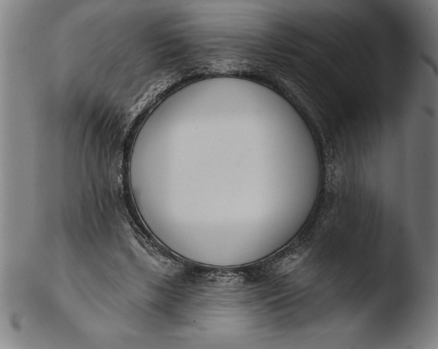 X0000103460443200809261844