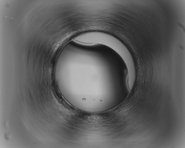 X0000103460444200809261844