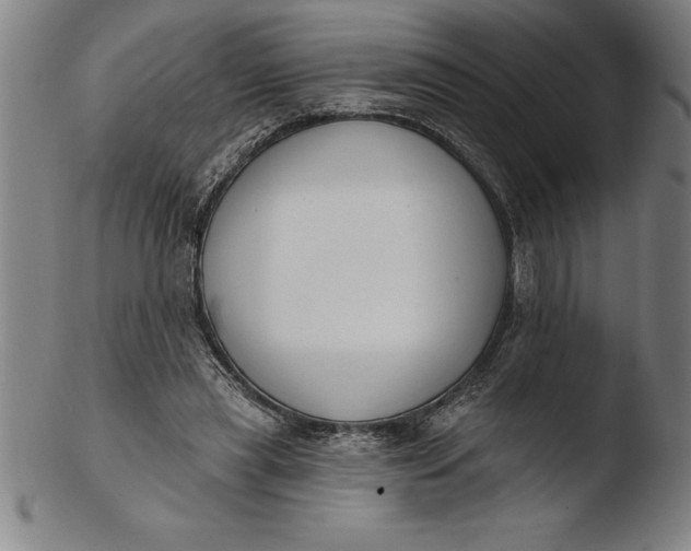 X0000103460445200809261844