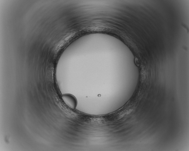 X0000103460446200809261844