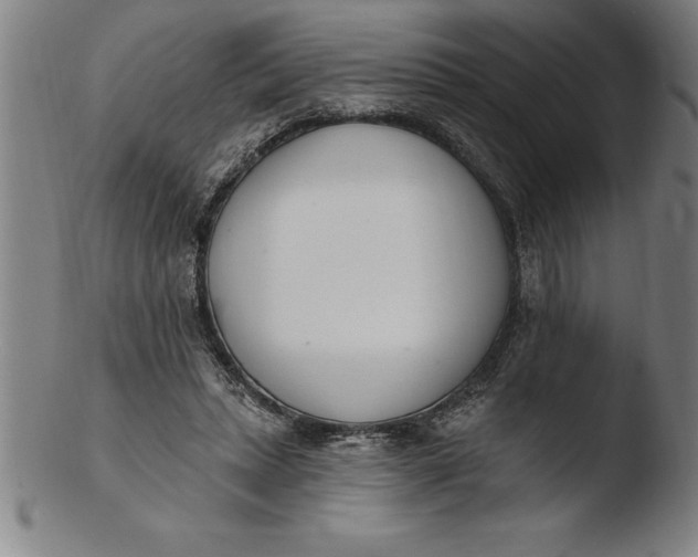 X0000103460447200809261844