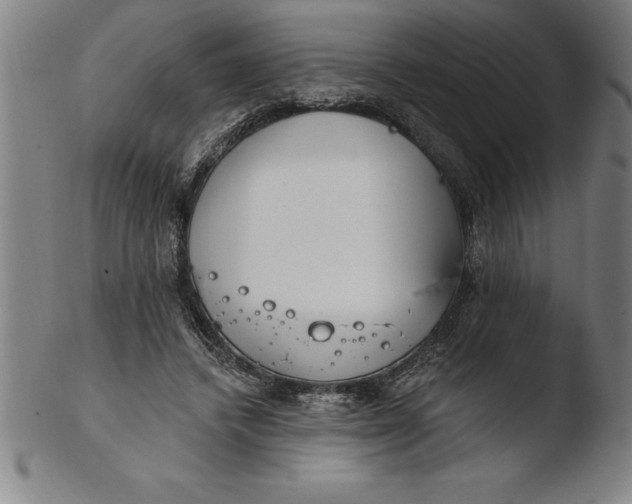 X0000103460448200809261844