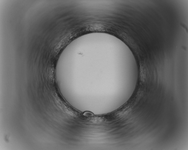 X0000103460449200809261844