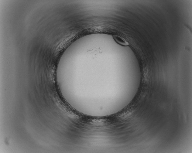 X0000103460450200809261844