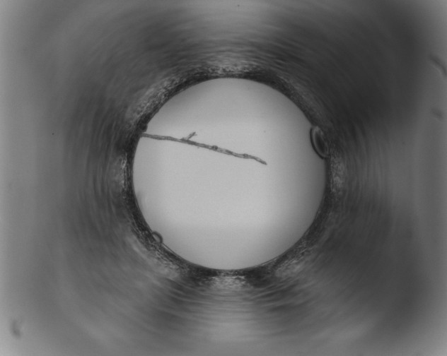 X0000103460451200809261844