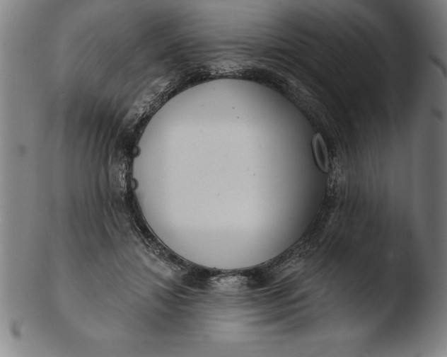 X0000103460452200809261844