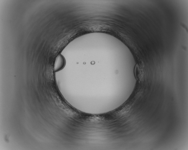 X0000103460453200809261844