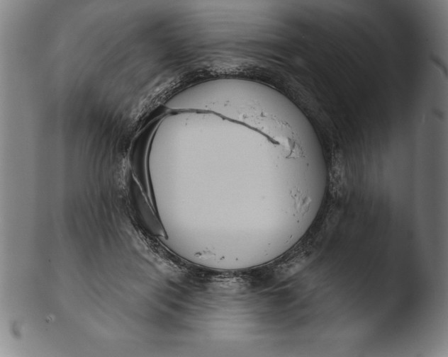 X0000103460454200809261844