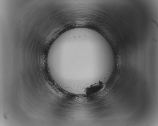 X0000103460455200809261844